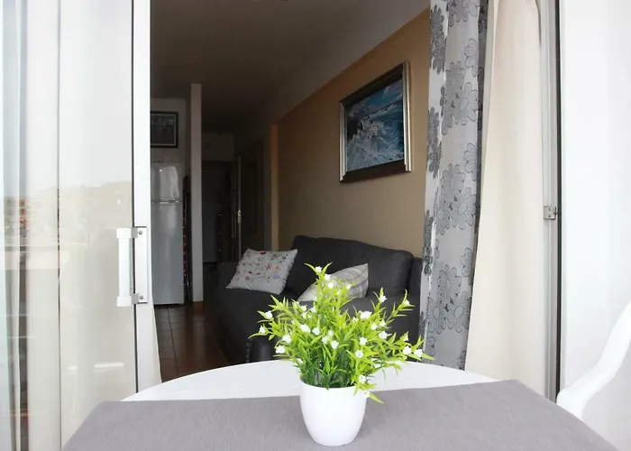 Ocean View At The Playa De La Arena