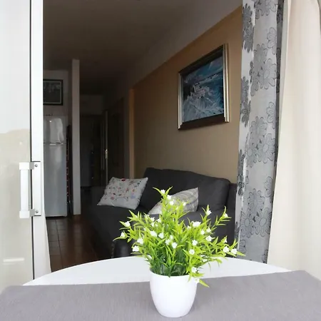 Ocean View At The Playa De La Arena